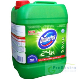 Domestos 5 l